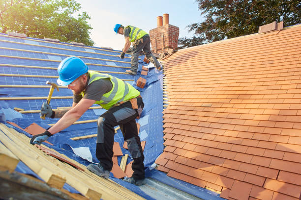 Professional Roofing service in Willow Oak, FL